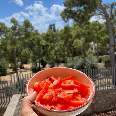 Pinetamare Azur - Panoramic Rooftop Porto Selvaggio 아파트 *